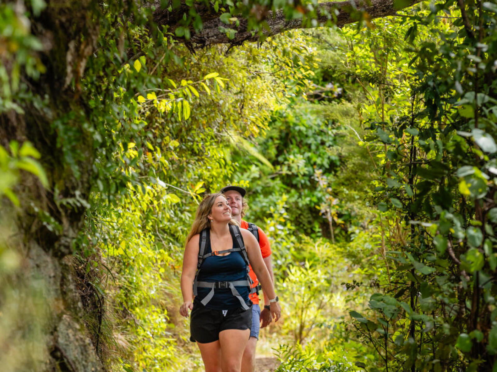 Guests walking through Abel Tasman National Park