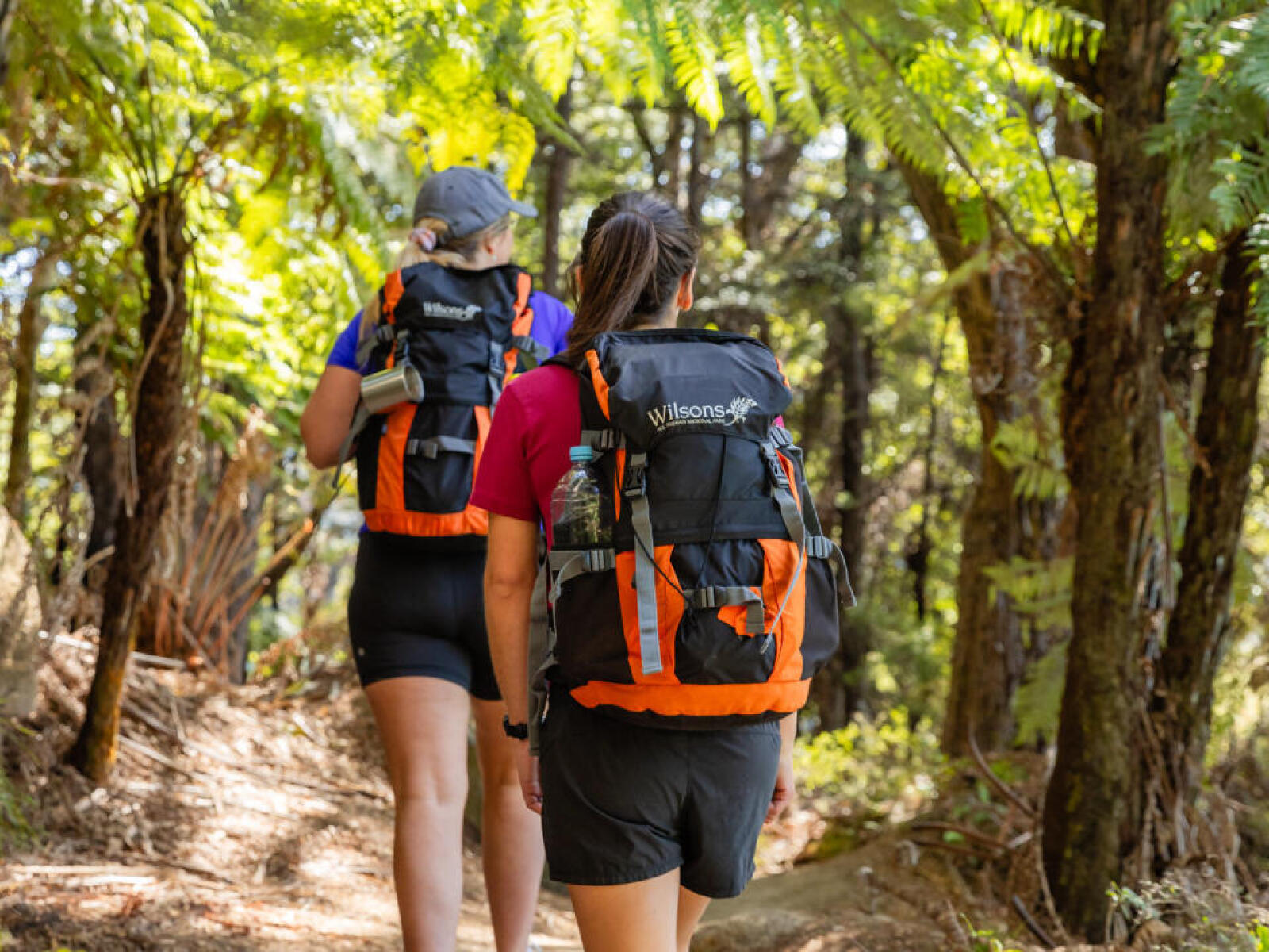 3 Day Walk gallery image 5