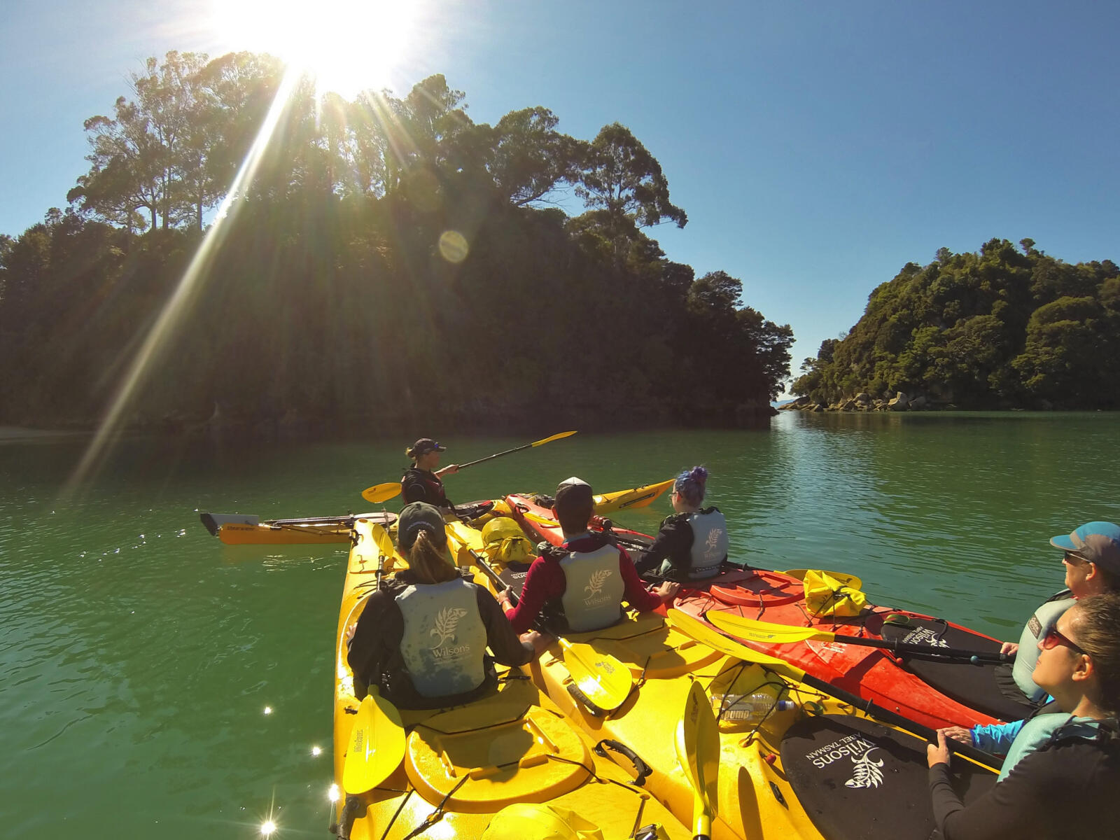Beaches, Bays and Seals Kayak